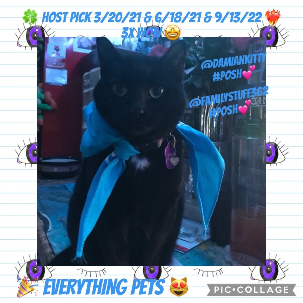 Pet/ human Bandana Poshfixings Exclusive New